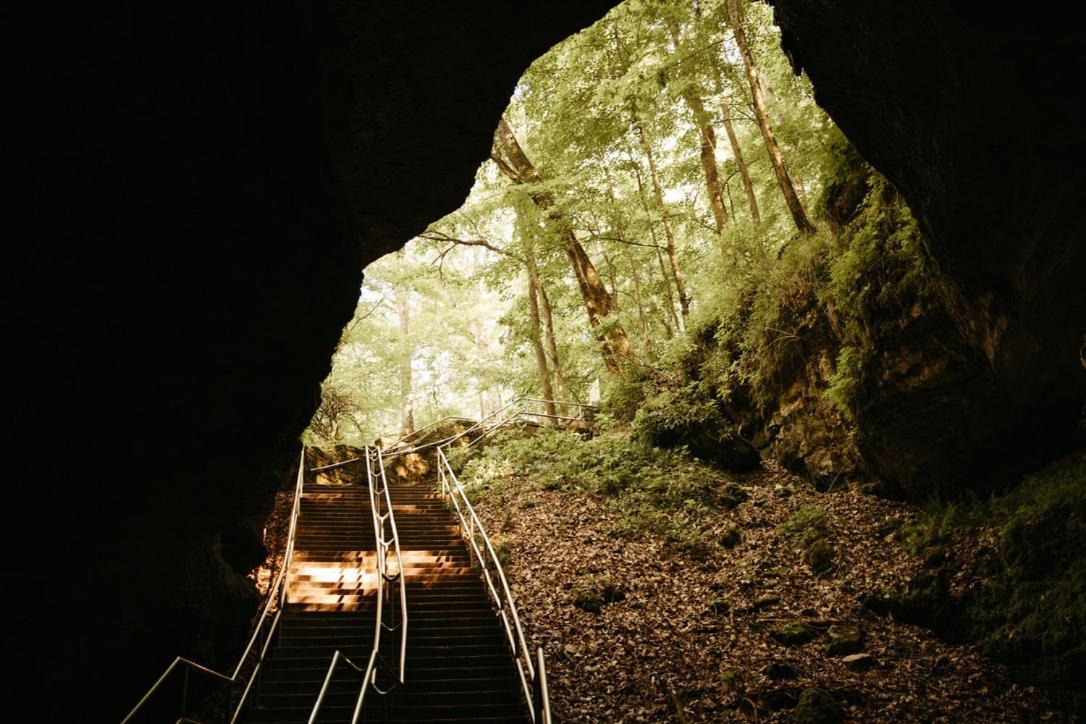 Mammoth Cave Lodge And Cabins ภายนอก รูปภาพ